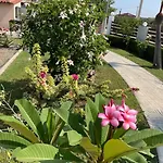 Merovili μικρές ενοικιαζόμενες Διαμέρισμα Γλύφα