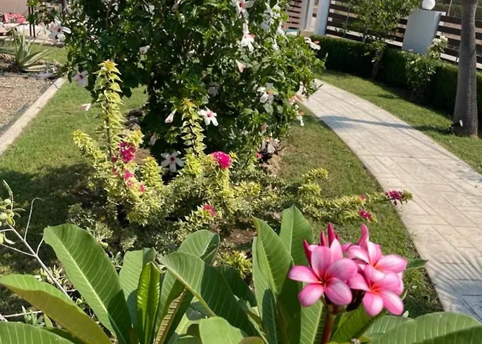 Merovili μικρές ενοικιαζόμενες Apartment Glifa (Elis)